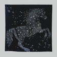 Hermès Robe Legere Embroidered Scarf 90, Noir