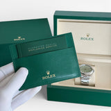 Rolex Oyster Perpetual 41, Pistachio Dial, Oystersteel, Ref. 134300
