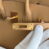 Hermes Birkin 29 Shoulder Bag, Biscuit, Gold Hardware