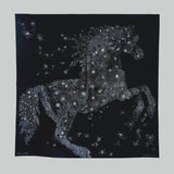 Hermes Robe Legere Embroidered Scarf 90 | Black - Found Fashion